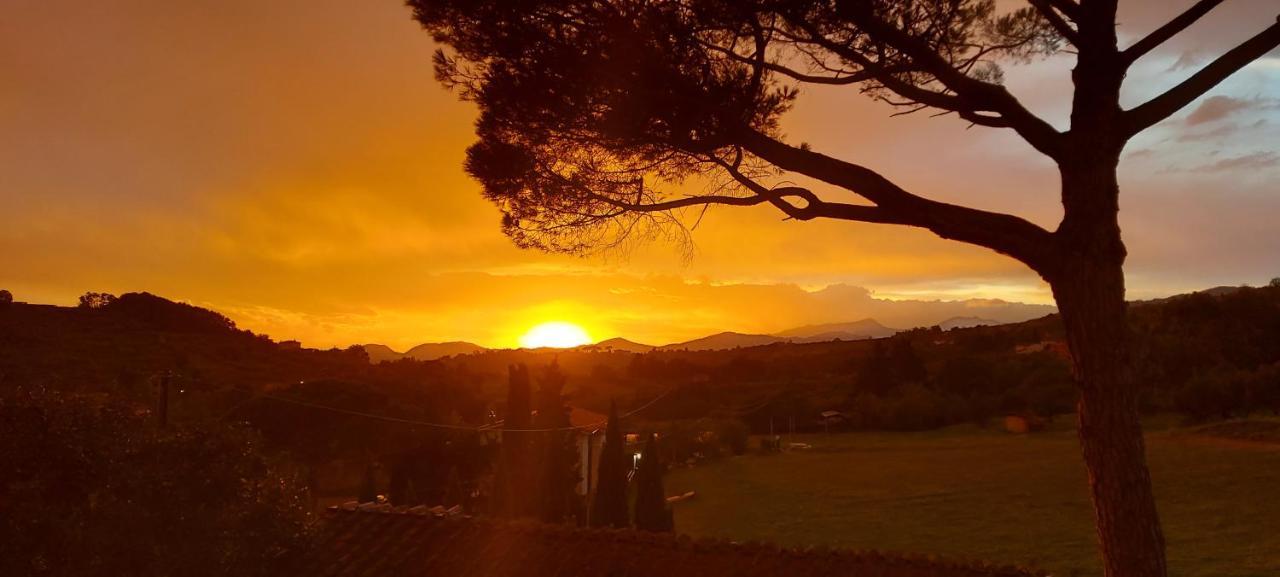 Casale Camaiore Villa Capannori Kültér fotó